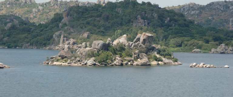 Saanane National Park